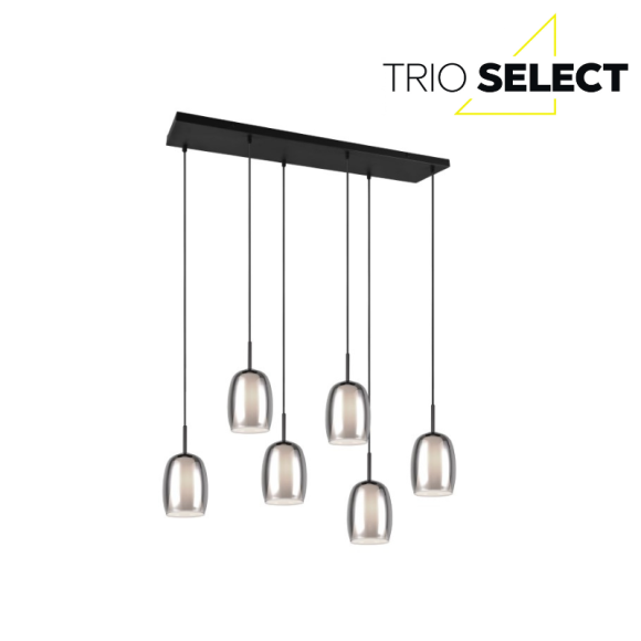 Trio SELECT 317500654  mennyezeti függőlámpa BARRET  E14