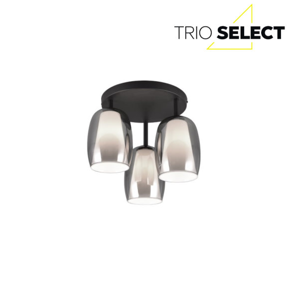 Trio SELECT 617500354  mennyezetre szerelhető lámpa BARRET  E14