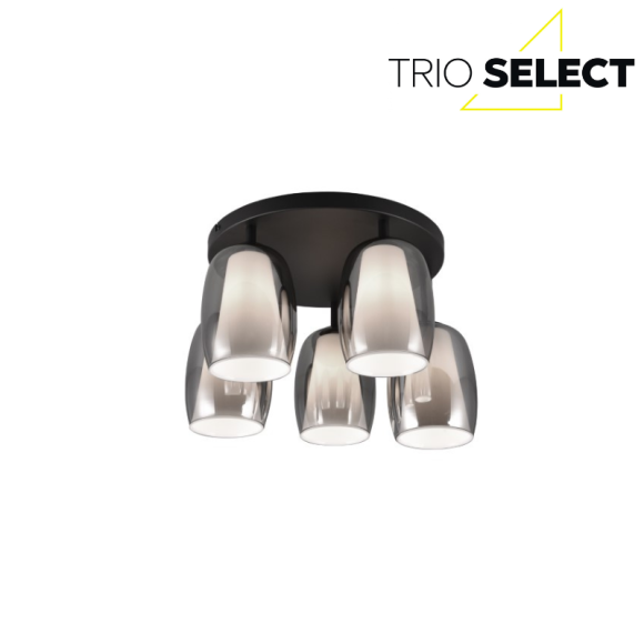 Trio SELECT 617500554  mennyezetre szerelhető lámpa BARRET  E14